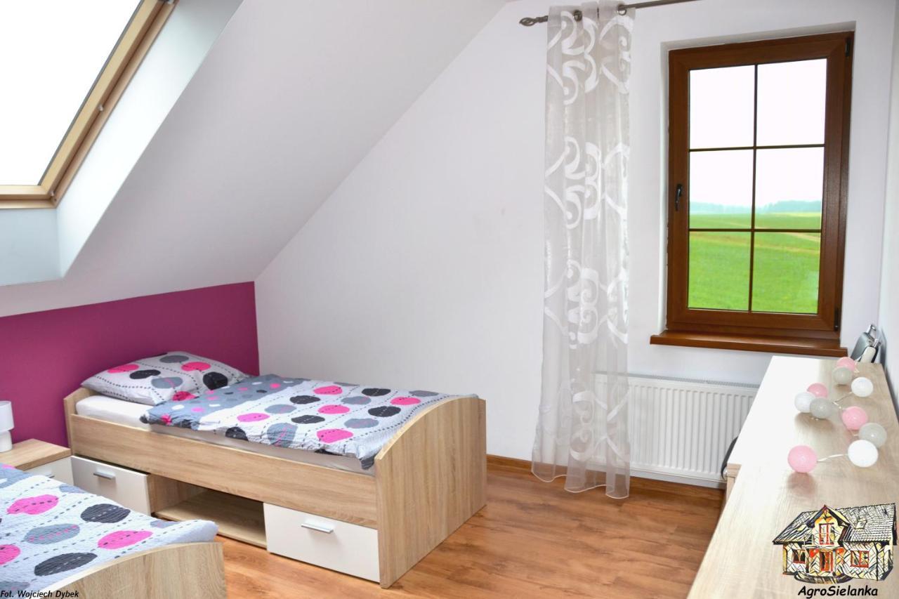 Agrosielanka Villa Lipnica  Kültér fotó