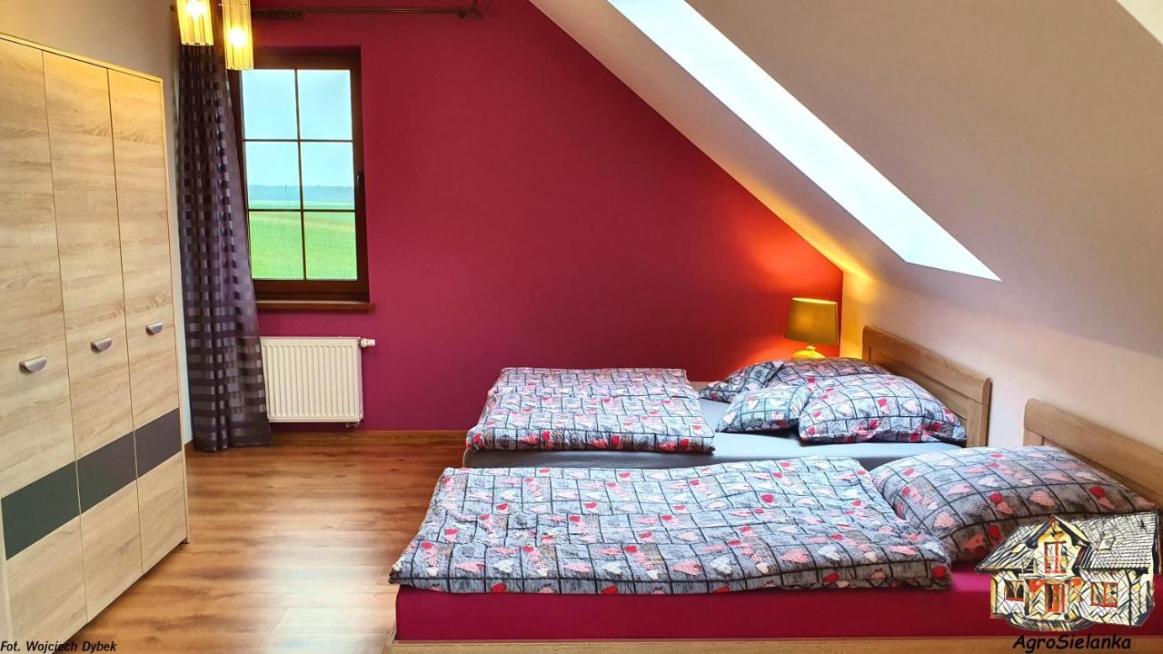 Agrosielanka Villa Lipnica  Kültér fotó
