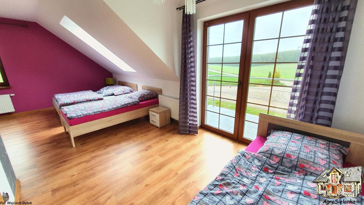 Agrosielanka Villa Lipnica  Kültér fotó